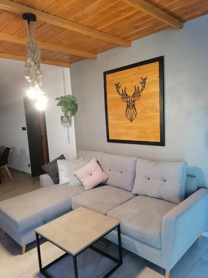 Apartament Jelen Apartman Złotów Kültér fotó